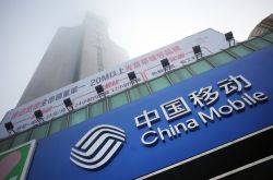 【3分钟科普下】大兴安岭地区电话_哔哩哔哩-3